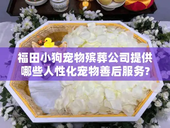 福田小狗宠物殡葬公司提供哪些人性化宠物善后服务? 福田小狗宠物殡葬公司提供哪些人性化宠物善后服务?