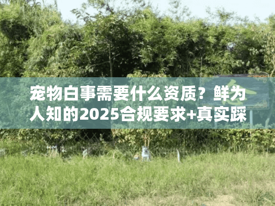 宠物白事需要什么资质?鲜为人知的2025合规要求+真实踩坑案例 宠物白事需要什么资质?鲜为人知的2025合规要求+真实踩坑案例