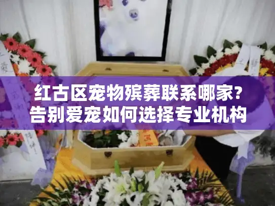 红古区宠物殡葬联系哪家?告别爱宠如何选择专业机构? 红古区宠物殡葬联系哪家?告别爱宠如何选择专业机构?