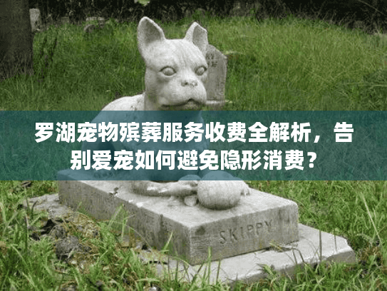 罗湖宠物殡葬服务收费全解析，告别爱宠如何避免隐形消费？