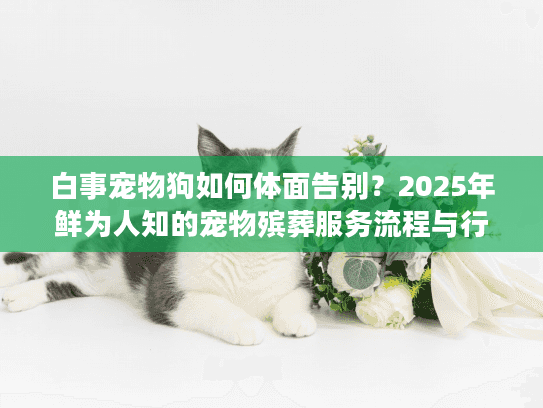 白事宠物狗如何体面告别?2025年鲜为人知的宠物殡葬服务流程与行业内幕 白事宠物狗如何体面告别?2025年鲜为人知的宠物殡葬服务流程与行业内幕