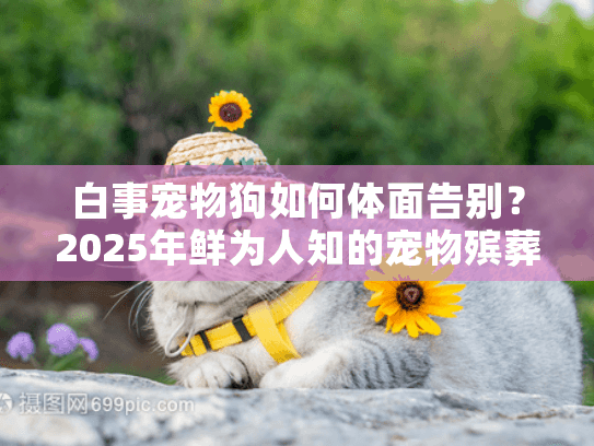 白事宠物狗如何体面告别?2025年鲜为人知的宠物殡葬服务流程与行业内幕 白事宠物狗如何体面告别?2025年鲜为人知的宠物殡葬服务流程与行业内幕