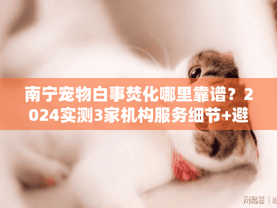 南宁宠物白事焚化哪里靠谱？2024实测3家机构服务细节+避坑指南全公开！