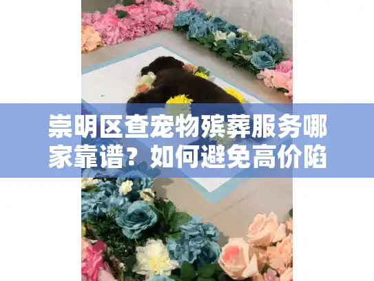 崇明区查宠物殡葬服务哪家靠谱？如何避免高价陷阱和流程乱象？