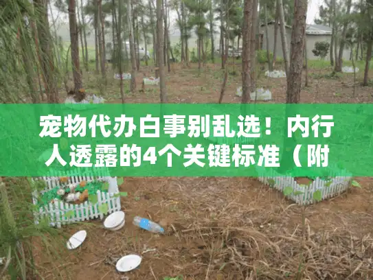 宠物代办白事别乱选！内行人透露的4个关键标准（附真实服务对比）