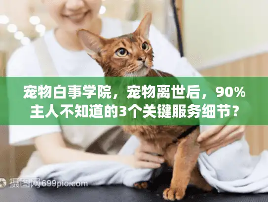 宠物白事学院，宠物离世后，90%主人不知道的3个关键服务细节？