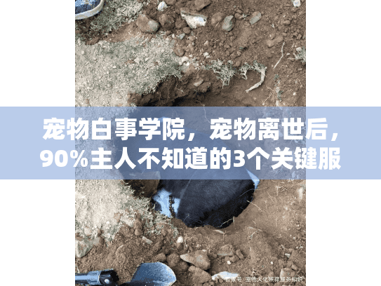 宠物白事学院，宠物离世后，90%主人不知道的3个关键服务细节？