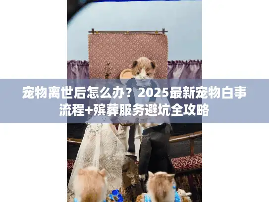 宠物离世后怎么办？2025最新宠物白事流程+殡葬服务避坑全攻略