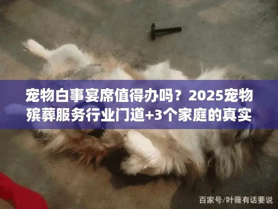 宠物白事宴席值得办吗？2025宠物殡葬服务行业门道+3个家庭的真实选择