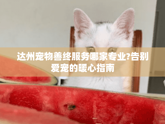 达州宠物善终服务哪家专业?告别爱宠的暖心指南 达州宠物善终服务哪家专业?告别爱宠的暖心指南