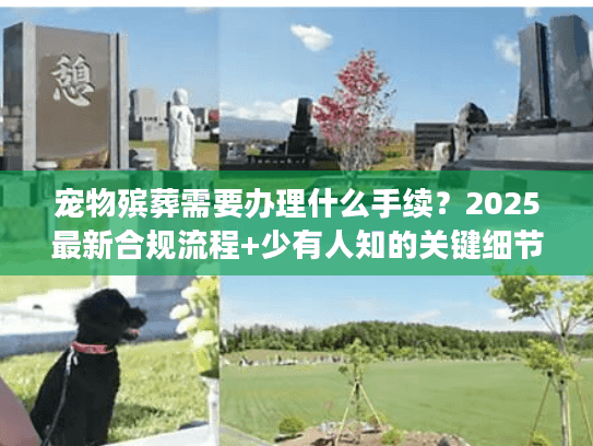 宠物殡葬需要办理什么手续?2025最新合规流程+少有人知的关键细节 宠物殡葬需要办理什么手续?2025最新合规流程+少有人知的关键细节