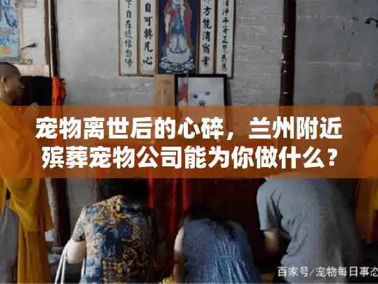 宠物离世后的心碎，兰州附近殡葬宠物公司能为你做什么？