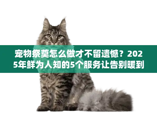 宠物祭奠怎么做才不留遗憾？2025年鲜为人知的5个服务让告别暖到心底