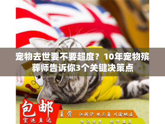 宠物去世要不要超度？10年宠物殡葬师告诉你3个关键决策点