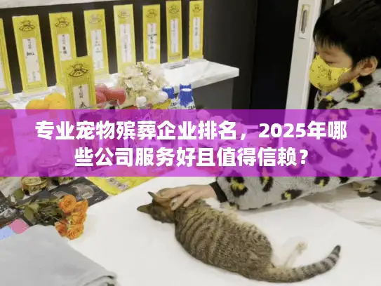 专业宠物殡葬企业排名，2025年哪些公司服务好且值得信赖？