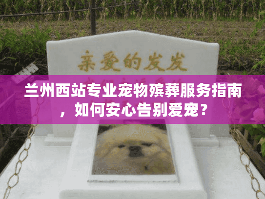 兰州西站专业宠物殡葬服务指南，如何安心告别爱宠？