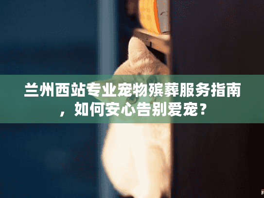 兰州西站专业宠物殡葬服务指南，如何安心告别爱宠？