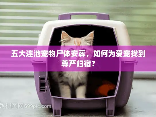 五大连池宠物尸体安葬,如何为爱宠找到尊严归宿? 五大连池宠物尸体安葬,如何为爱宠找到尊严归宿?