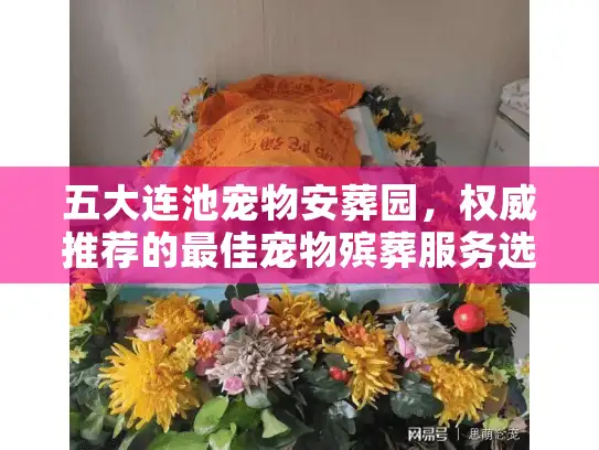 五大连池宠物安葬园，权威推荐的最佳宠物殡葬服务选择？