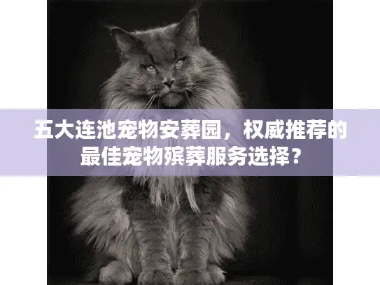 五大连池宠物安葬园，权威推荐的最佳宠物殡葬服务选择？