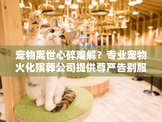 宠物离世心碎难解？专业宠物火化殡葬公司提供尊严告别服务