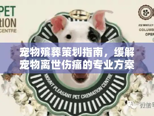 宠物殡葬策划指南，缓解宠物离世伤痛的专业方案