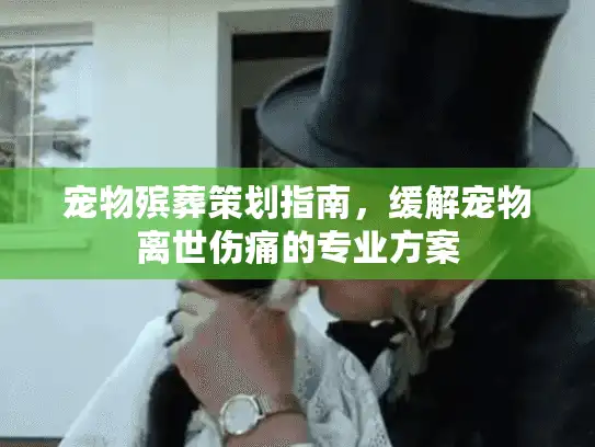 宠物殡葬策划指南，缓解宠物离世伤痛的专业方案