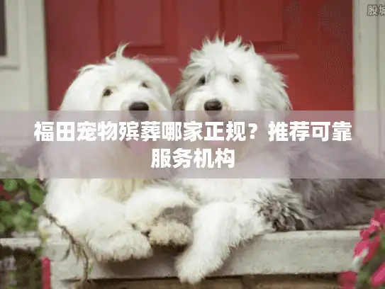 福田宠物殡葬哪家正规？推荐可靠服务机构