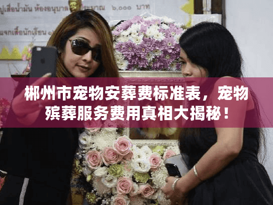 郴州市宠物安葬费标准表,宠物殡葬服务费用真相大揭秘! 郴州市宠物安葬费标准表,宠物殡葬服务费用真相大揭秘!
