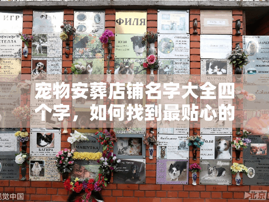 宠物安葬店铺名字大全四个字，如何找到最贴心的宠物天堂？