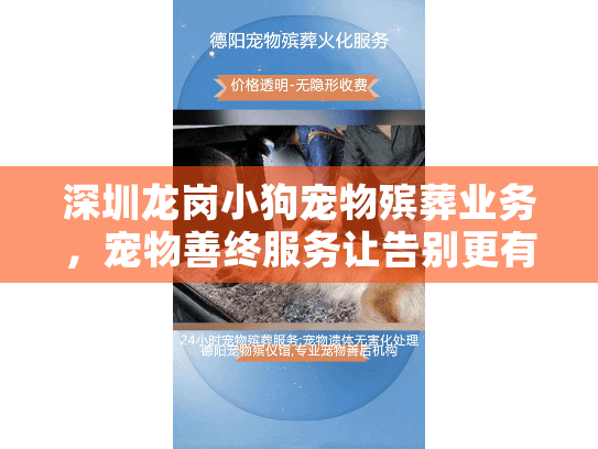 深圳龙岗小狗宠物殡葬业务，宠物善终服务让告别更有温度