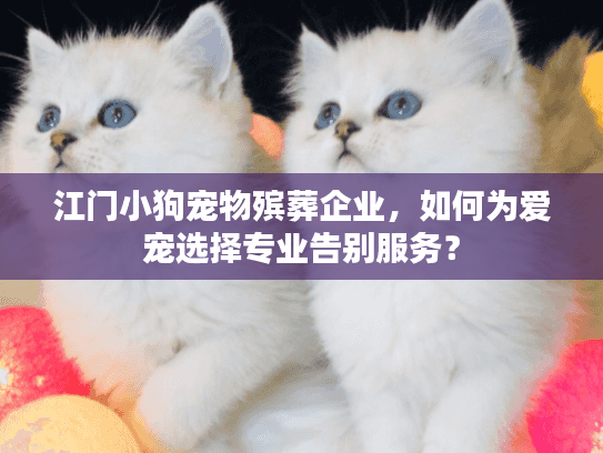 江门小狗宠物殡葬企业，如何为爱宠选择专业告别服务？