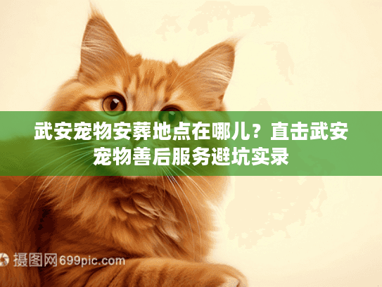 武安宠物安葬地点在哪儿？直击武安宠物善后服务避坑实录