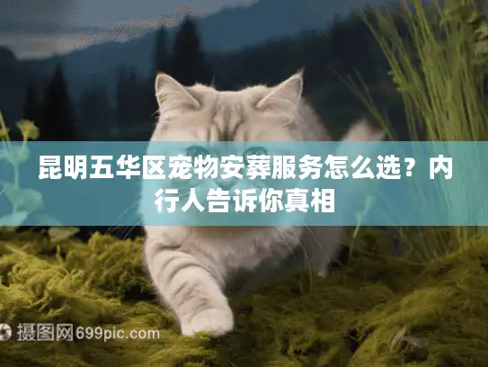 昆明五华区宠物安葬服务怎么选？内行人告诉你真相