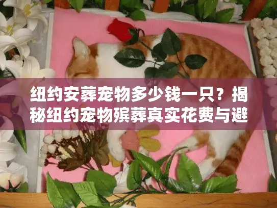 纽约安葬宠物多少钱一只？揭秘纽约宠物殡葬真实花费与避坑内幕