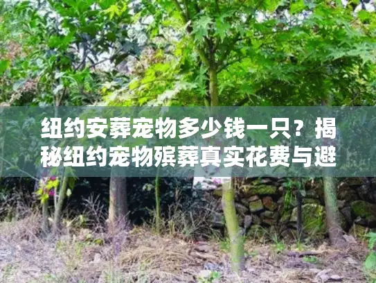 纽约安葬宠物多少钱一只？揭秘纽约宠物殡葬真实花费与避坑内幕