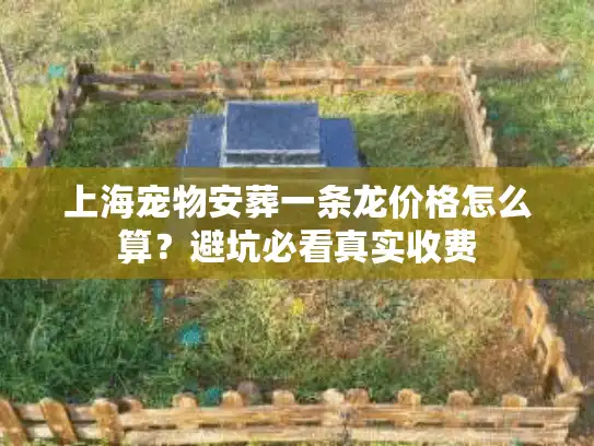 上海宠物安葬一条龙价格怎么算？避坑必看真实收费