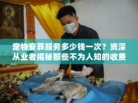 宠物安葬服务多少钱一次？资深从业者揭秘那些不为人知的收费门道