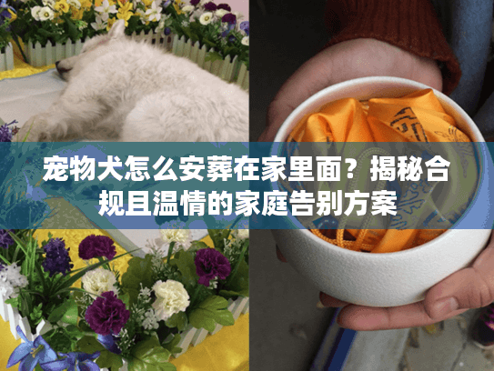 宠物犬怎么安葬在家里面？揭秘合规且温情的家庭告别方案