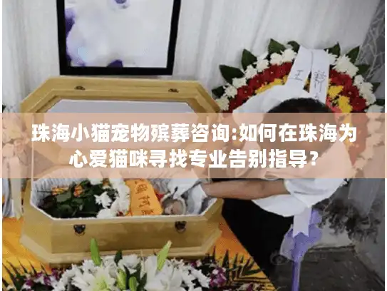 珠海小猫宠物殡葬咨询:如何在珠海为心爱猫咪寻找专业告别指导？