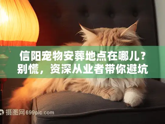 信阳宠物安葬地点在哪儿？别慌，资深从业者带你避坑