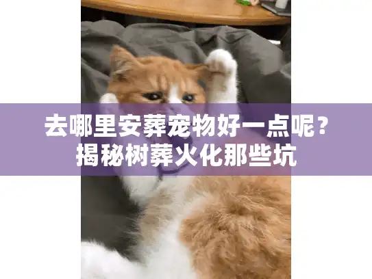 去哪里安葬宠物好一点呢？揭秘树葬火化那些坑