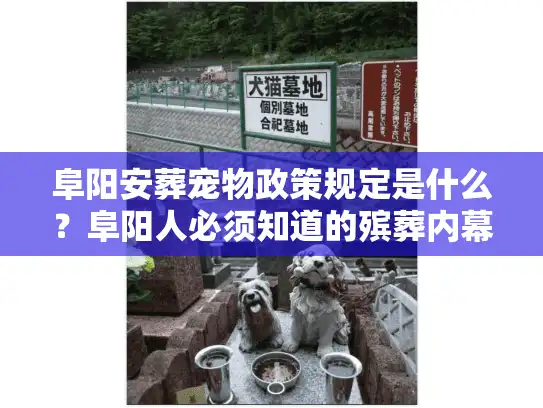 阜阳安葬宠物政策规定是什么？阜阳人必须知道的殡葬内幕