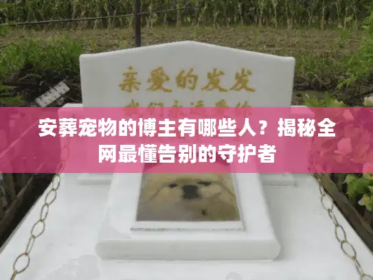安葬宠物的博主有哪些人？揭秘全网最懂告别的守护者