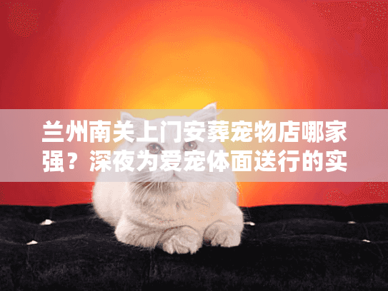 兰州南关上门安葬宠物店哪家强？深夜为爱宠体面送行的实战复盘