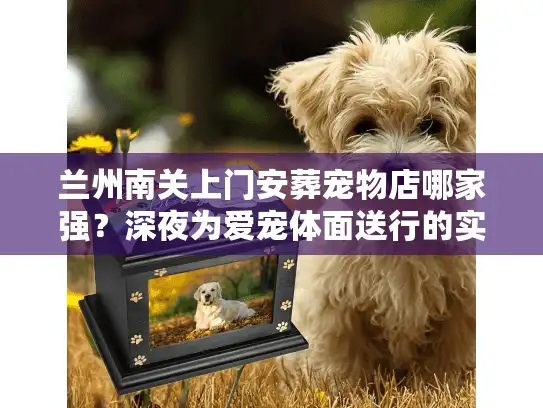 兰州南关上门安葬宠物店哪家强？深夜为爱宠体面送行的实战复盘