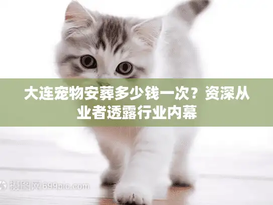 大连宠物安葬多少钱一次？资深从业者透露行业内幕