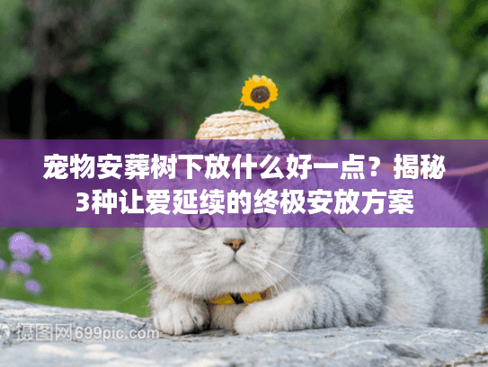 宠物安葬树下放什么好一点?揭秘3种让爱延续的终极安放方案 宠物安葬树下放什么好一点?揭秘3种让爱延续的终极安放方案