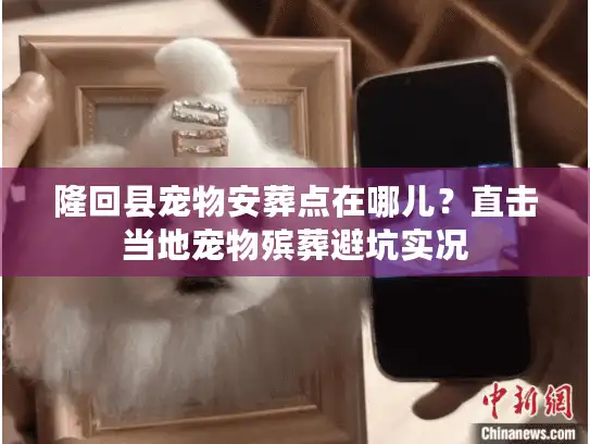 隆回县宠物安葬点在哪儿？直击当地宠物殡葬避坑实况