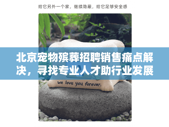 北京宠物殡葬招聘销售痛点解决，寻找专业人才助行业发展